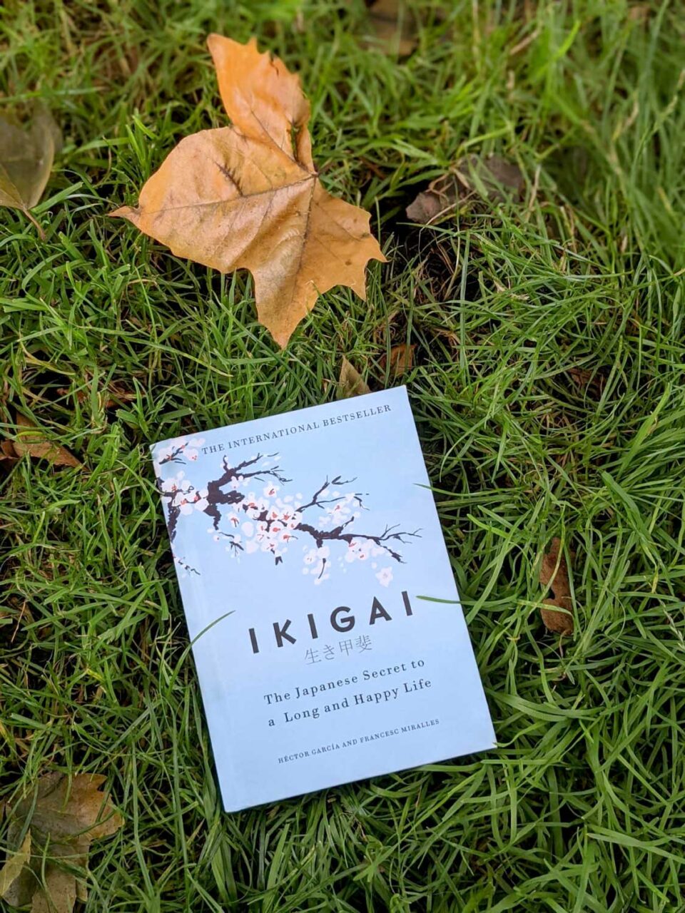 Ikigai-the japanese secret to a long and happy life